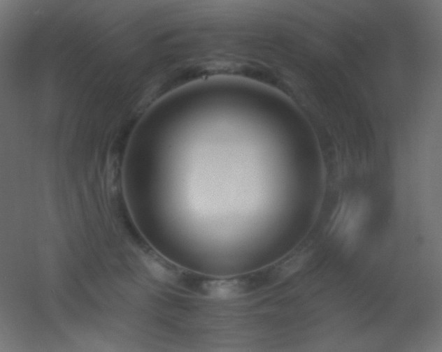 X0000053070273200507111226