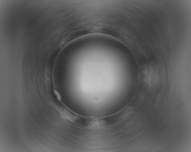 X0000053070274200507111226