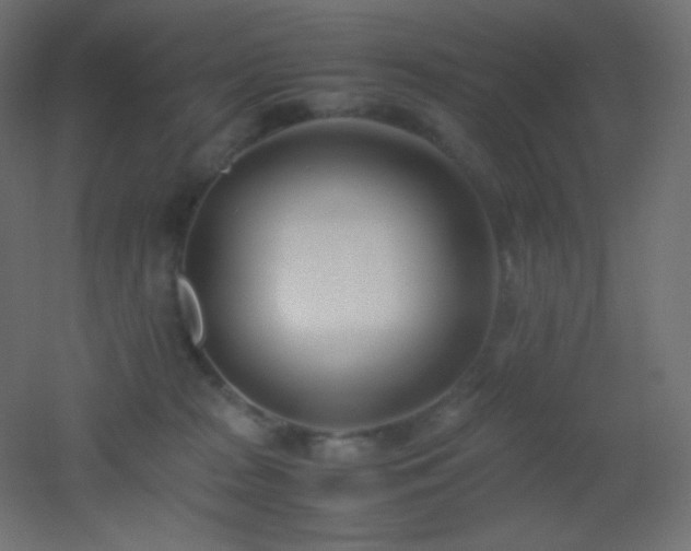 X0000053070277200507111226