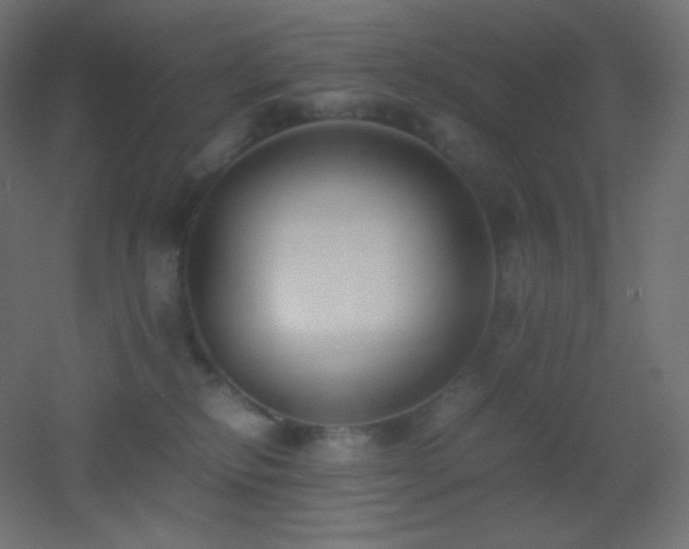 X0000053070278200507111226