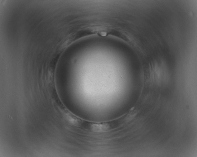 X0000053070281200507111226