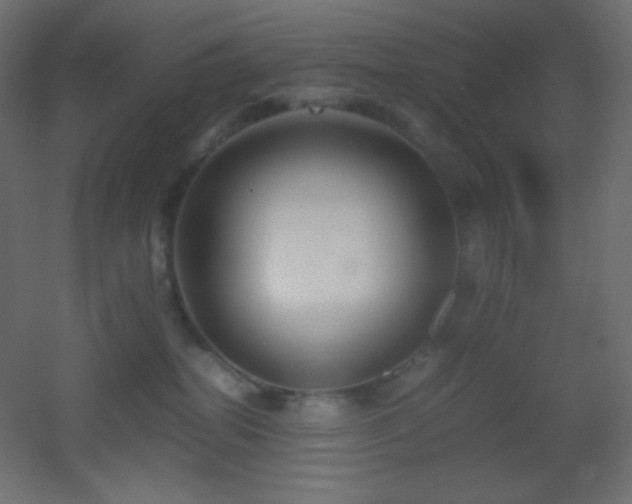 X0000053070282200507111226