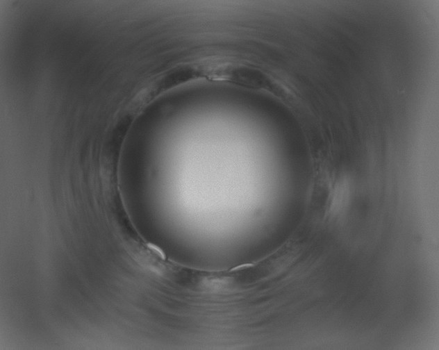 X0000053070283200507111226