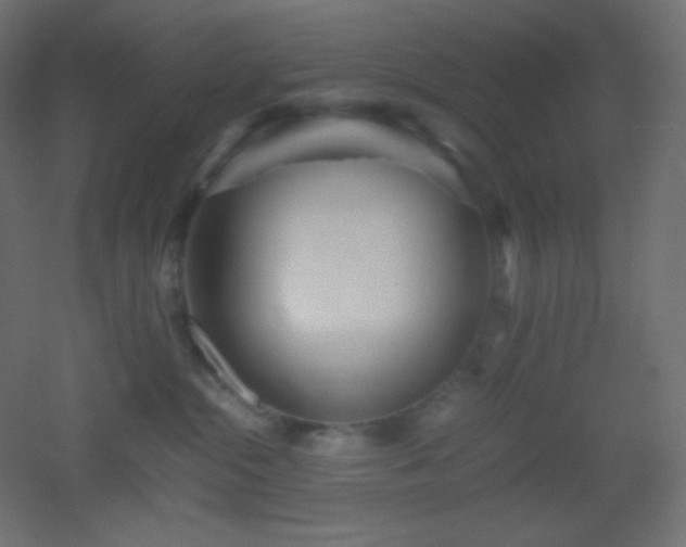 X0000053070284200507111226