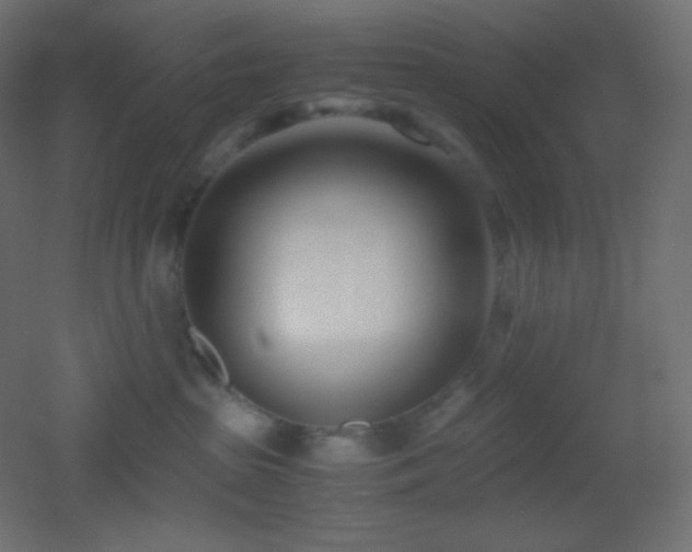 X0000053070285200507111226