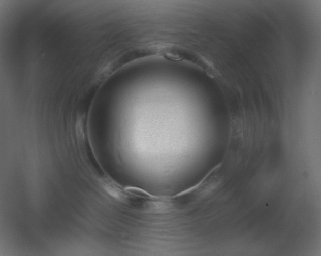 X0000053070286200507111226