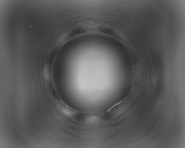 X0000053070287200507111226
