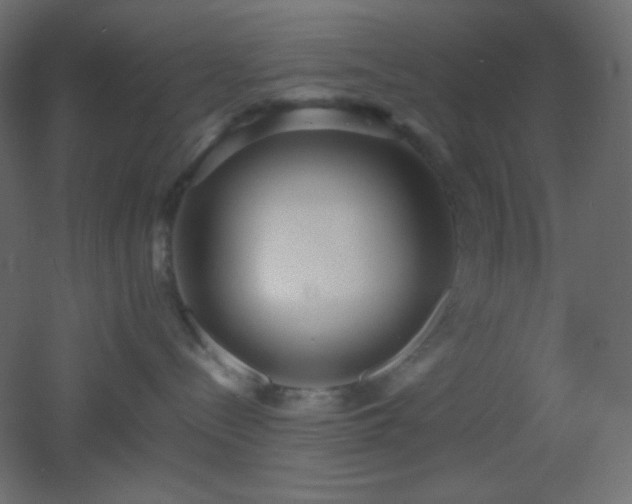 X0000053070288200507111226