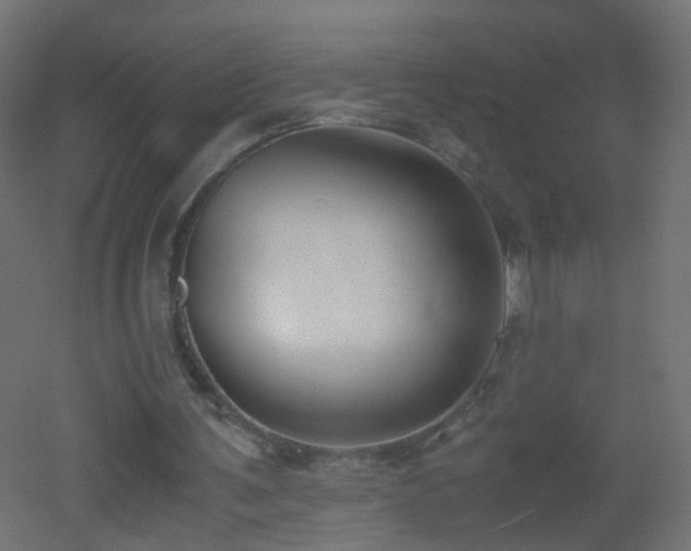 X0000053070291200507111225