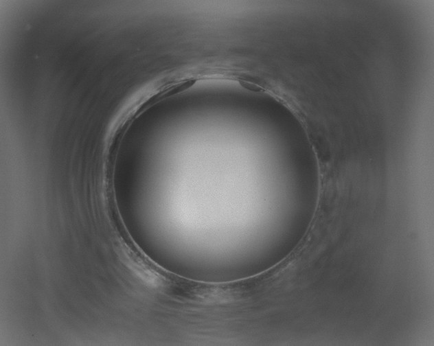 X0000053070293200507111225