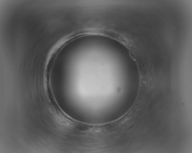 X0000053070294200507111225
