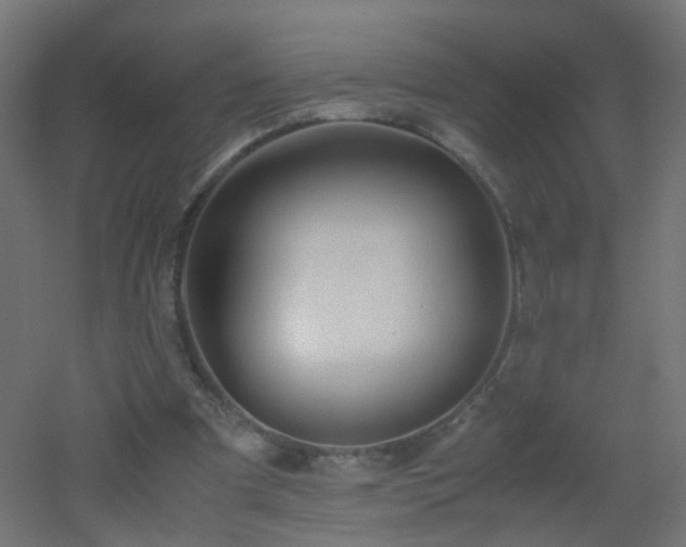 X0000053070297200507111225