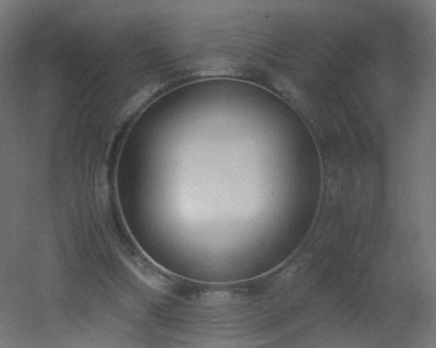X0000053070298200507111225