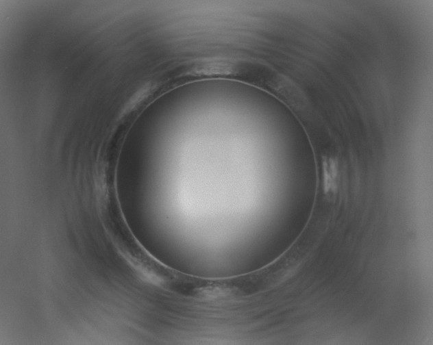 X0000053070300200507111225