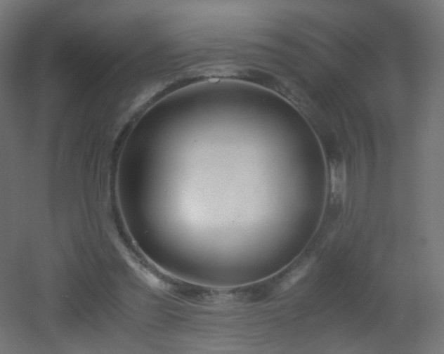 X0000053070301200507111225