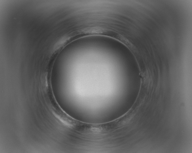 X0000053070302200507111225