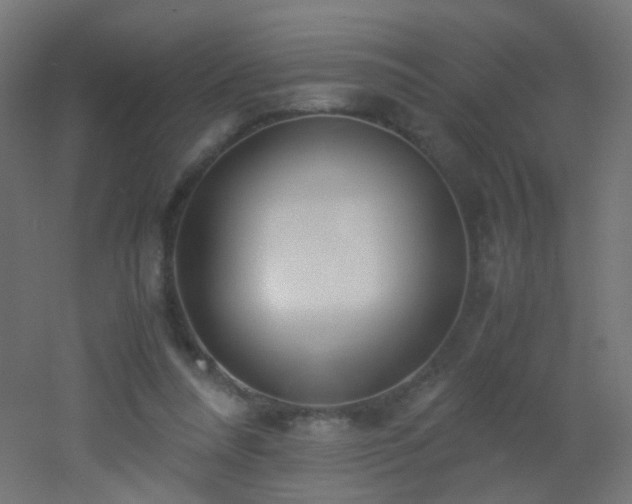 X0000053070304200507111225