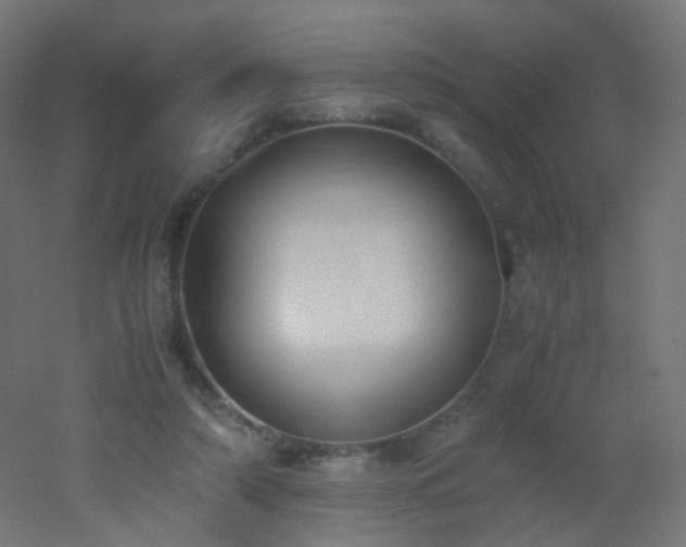 X0000053070306200507111225