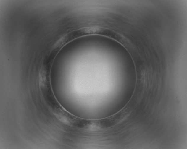 X0000053070308200507111225