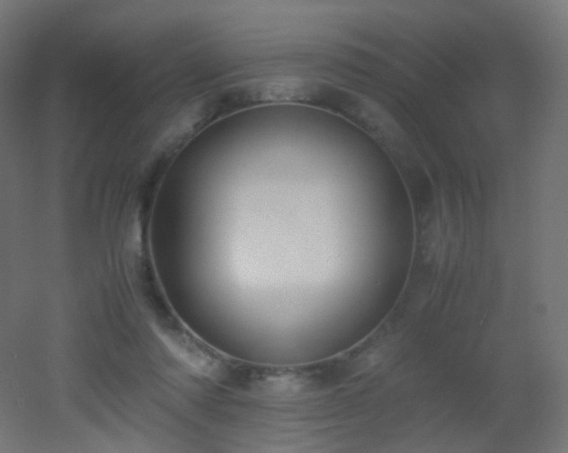 X0000053070310200507111225