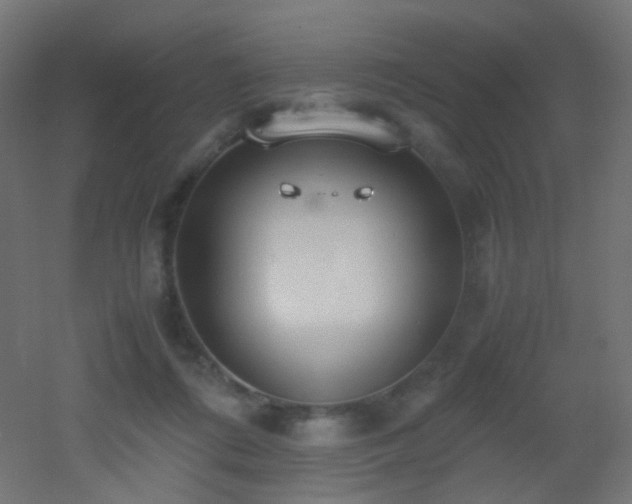 X0000053070312200507111225