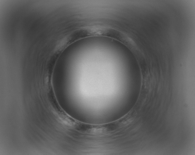 X0000053070314200507111225
