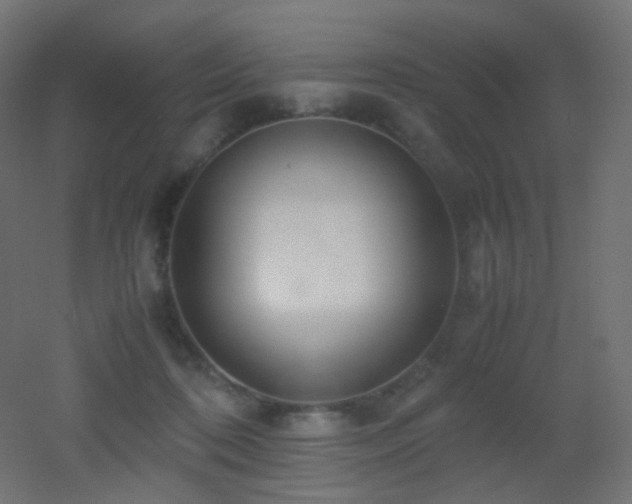 X0000053070316200507111225