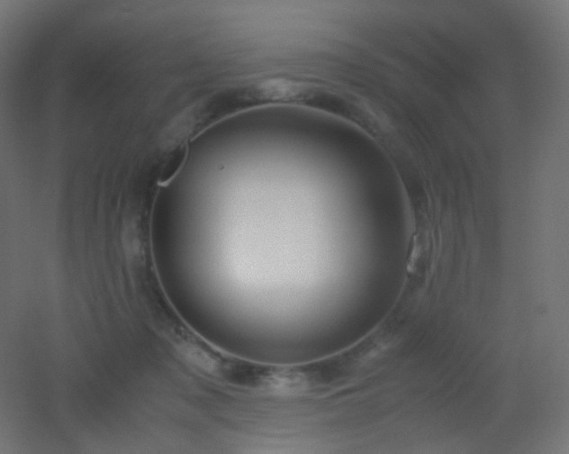 X0000053070317200507111225