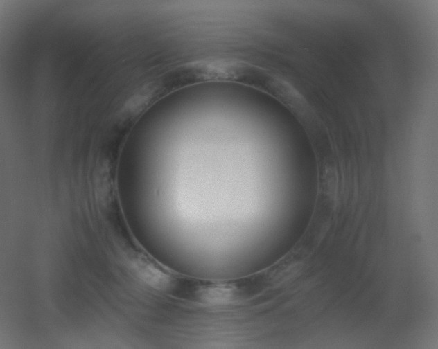 X0000053070318200507111225