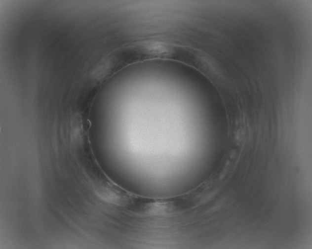 X0000053070320200507111225