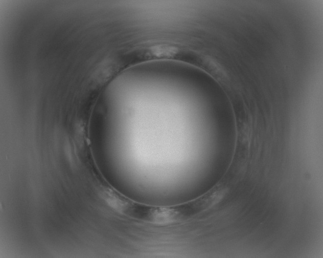 X0000053070321200507111225
