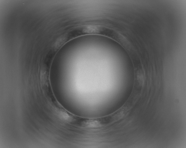 X0000053070322200507111225