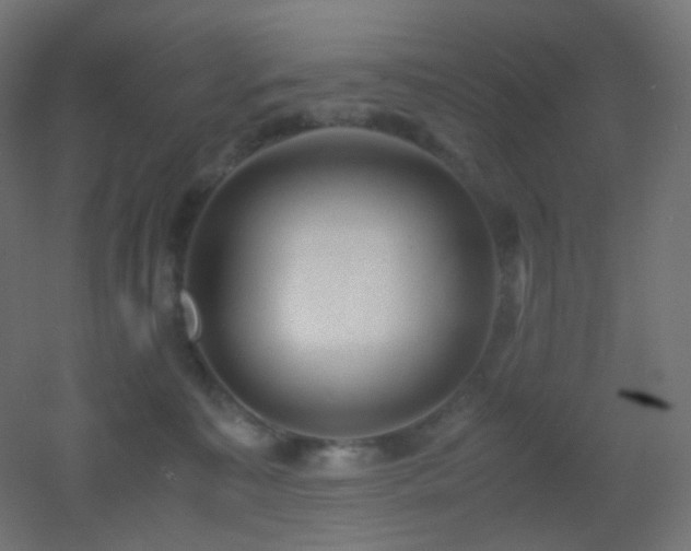 X0000053070323200507111225