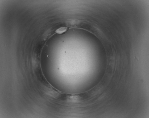 X0000053070324200507111225