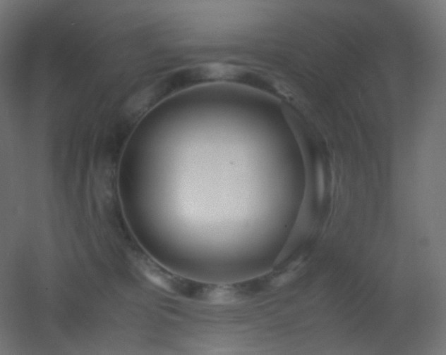 X0000053070325200507111225