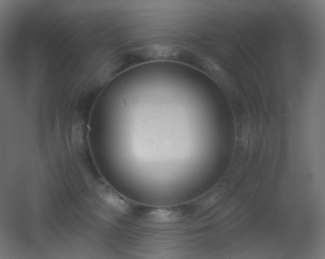 X0000053070326200507111225