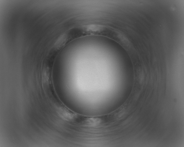 X0000053070328200507111225