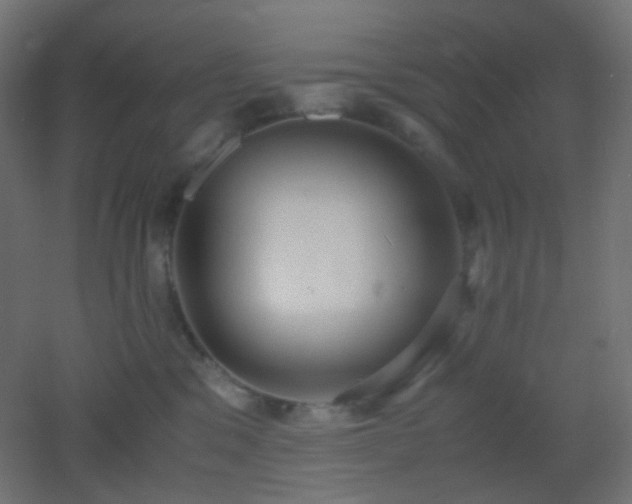 X0000053070329200507111225