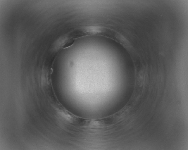 X0000053070330200507111225