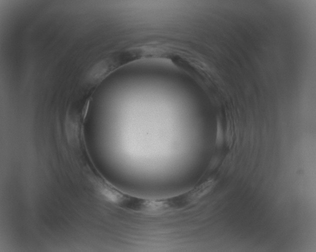 X0000053070333200507111225