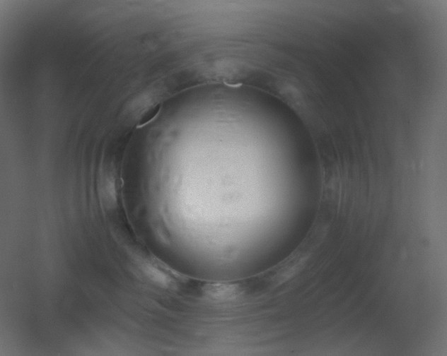 X0000053070334200507111225