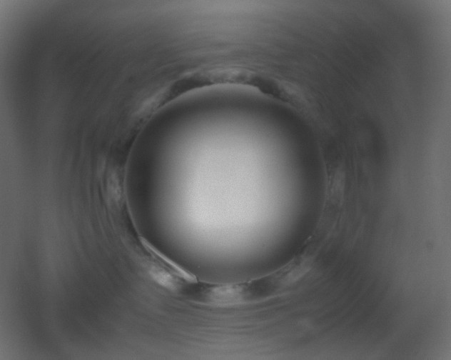X0000053070335200507111225