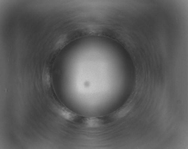 X0000053070336200507111225