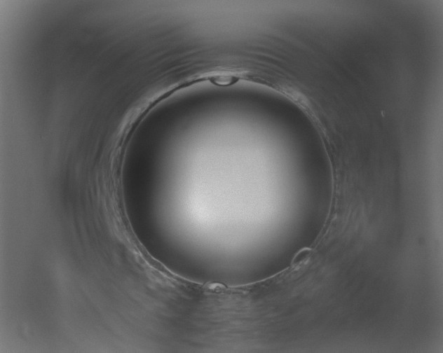 X0000053070337200507111224