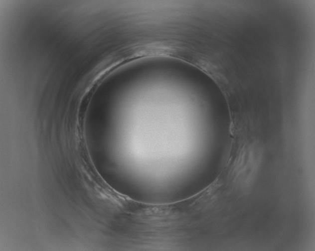 X0000053070338200507111224