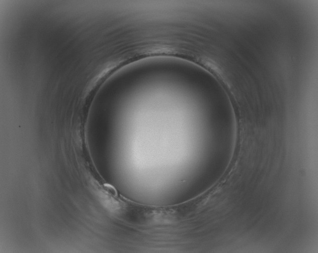 X0000053070345200507111224