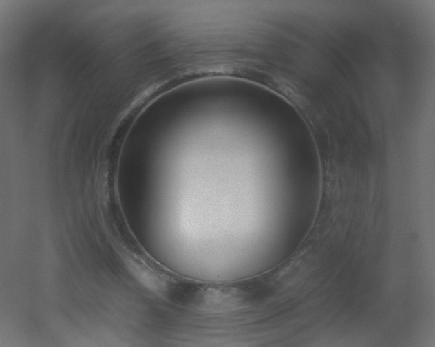 X0000053070346200507111224