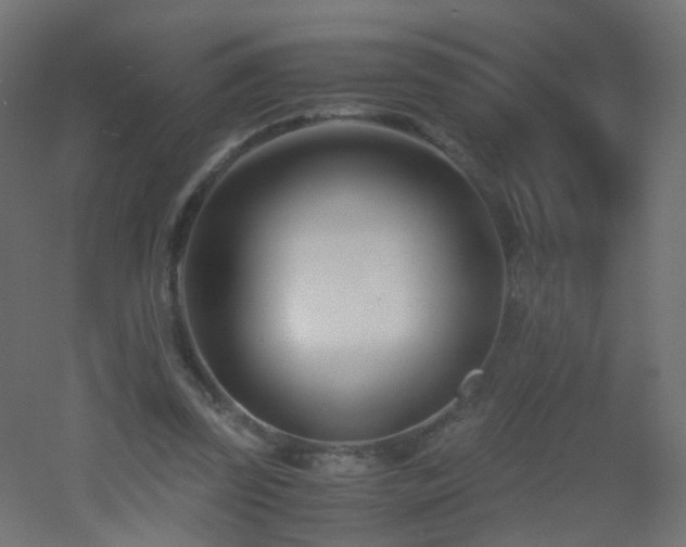 X0000053070347200507111224