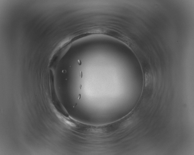 X0000053070349200507111224