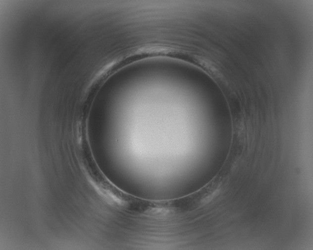 X0000053070352200507111224